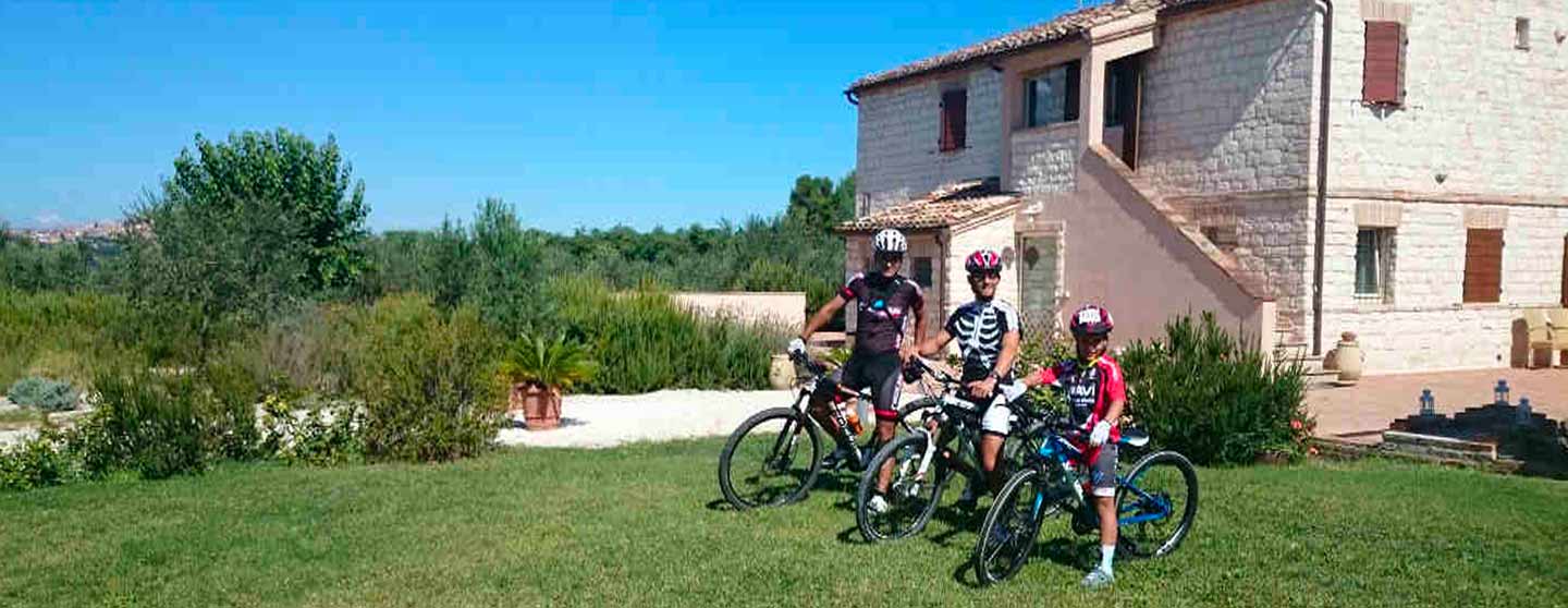 Big and small cyclists